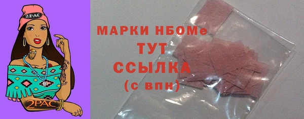 мдпв Пестово