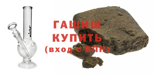 стаф Богданович