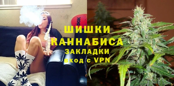 мдпв Пестово