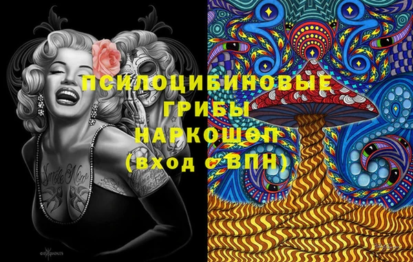 2c-b Пересвет