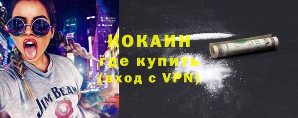 мдпв Пестово