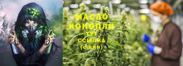 мдпв Пестово