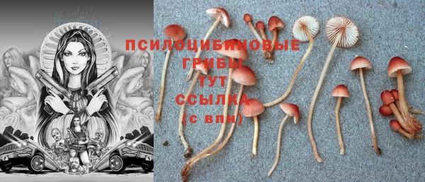 мдпв Пестово