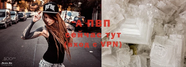 мдпв Пестово