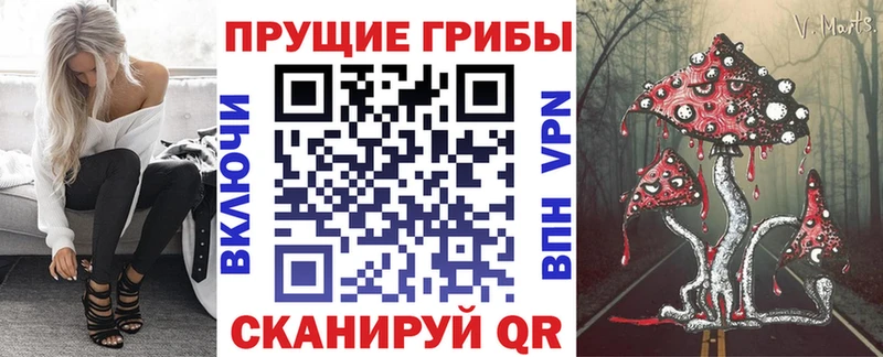 Псилоцибиновые грибы Cubensis гидра зеркало Калязин